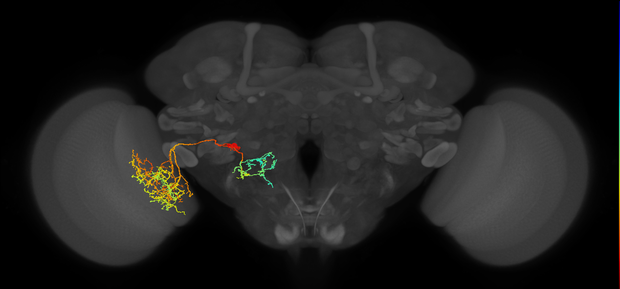 LT47