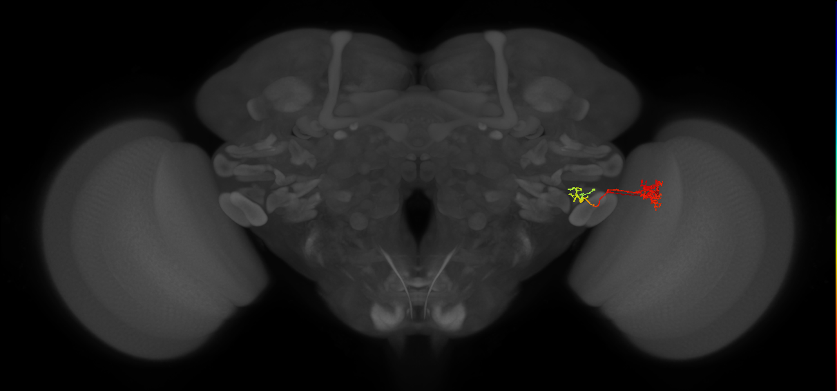 LC18
