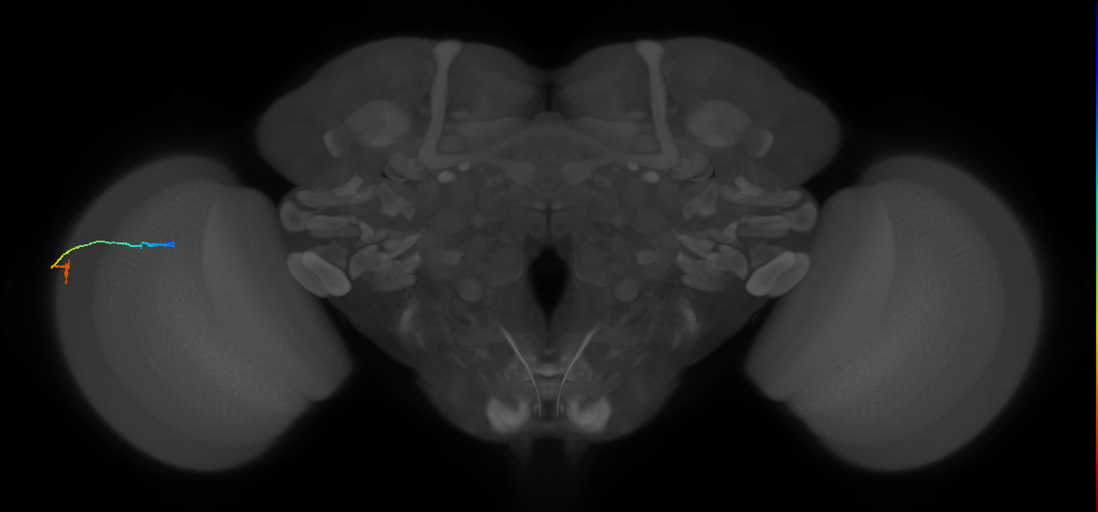 L3