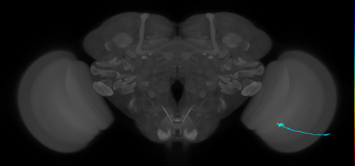 L3
