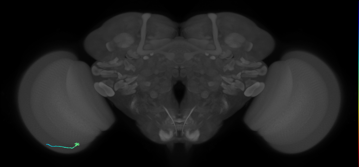L3