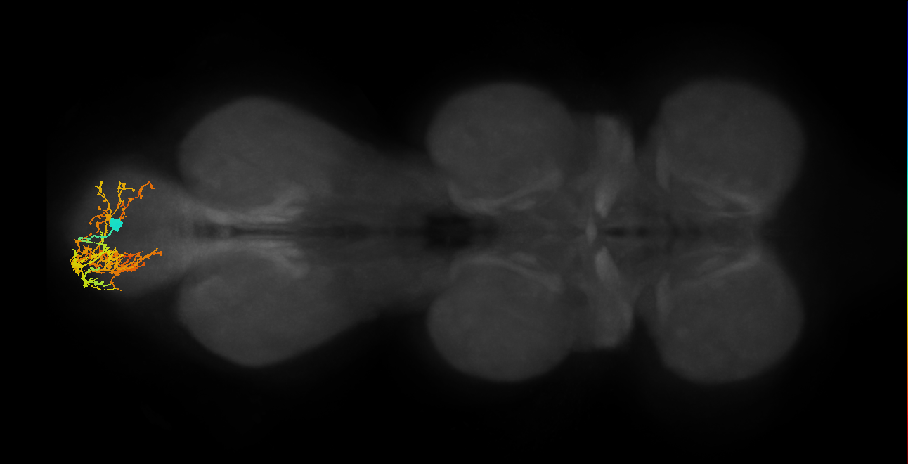 INXXX418