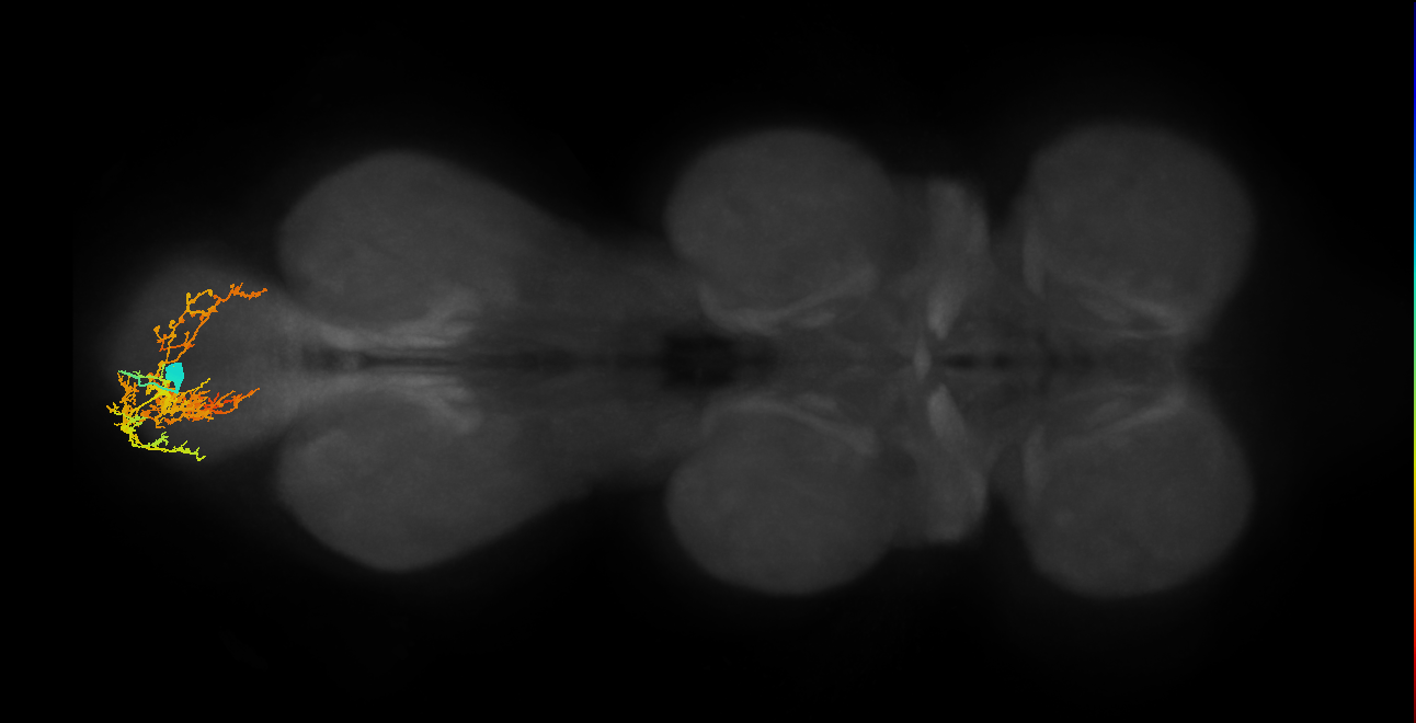 INXXX418
