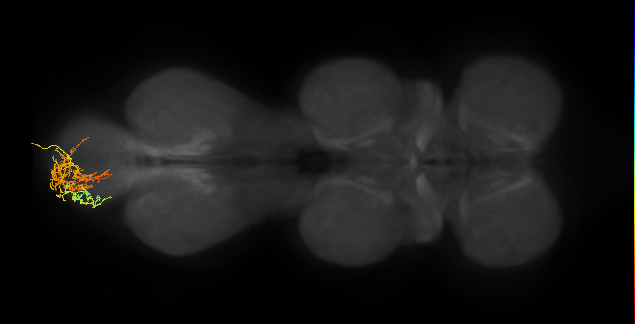 INXXX418