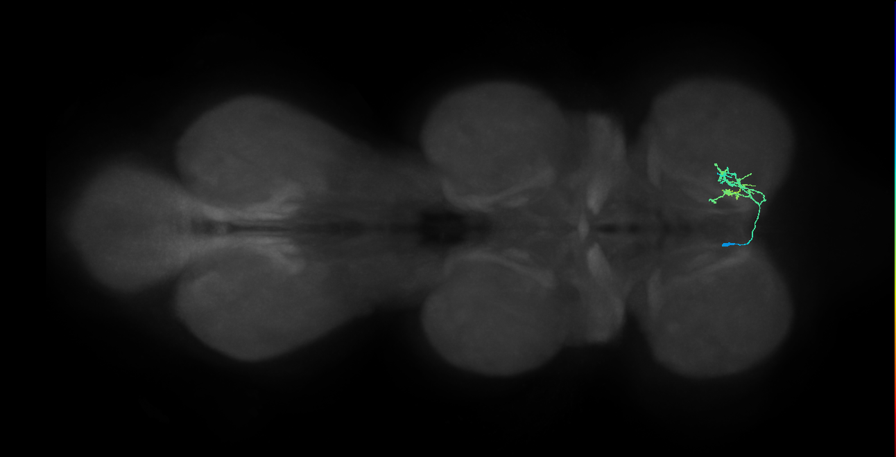 IN14A100