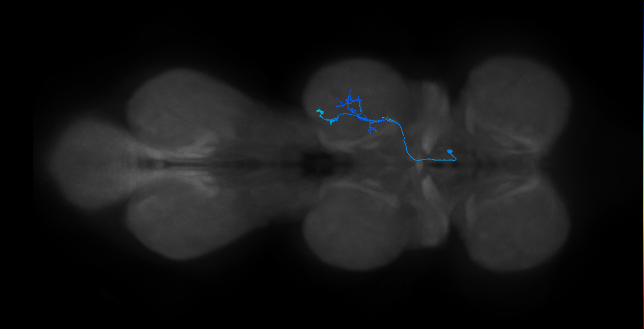 IN14A114