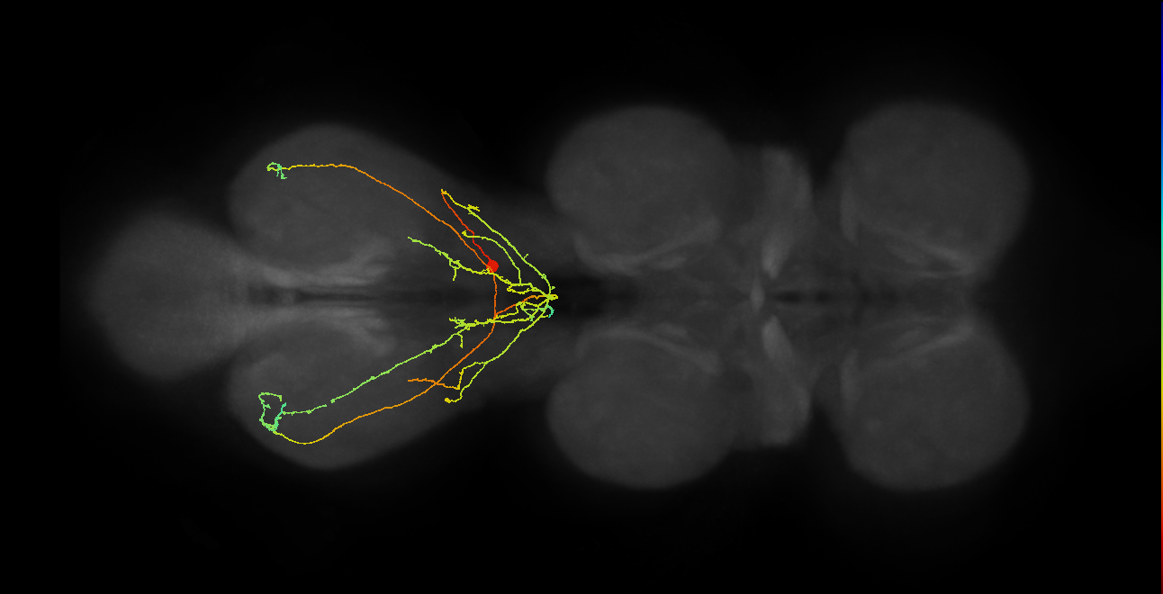 IN18B050
