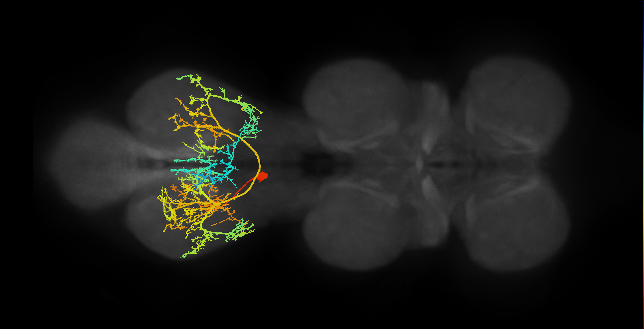 IN19B015