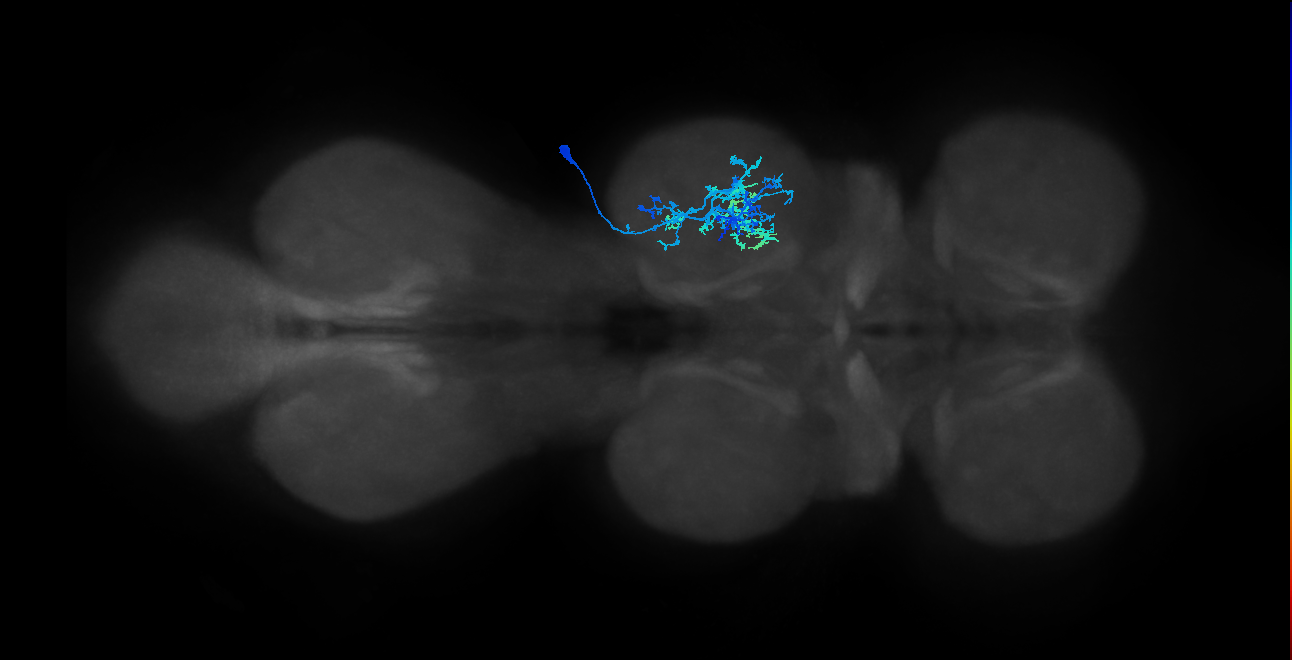 IN20A.22A016