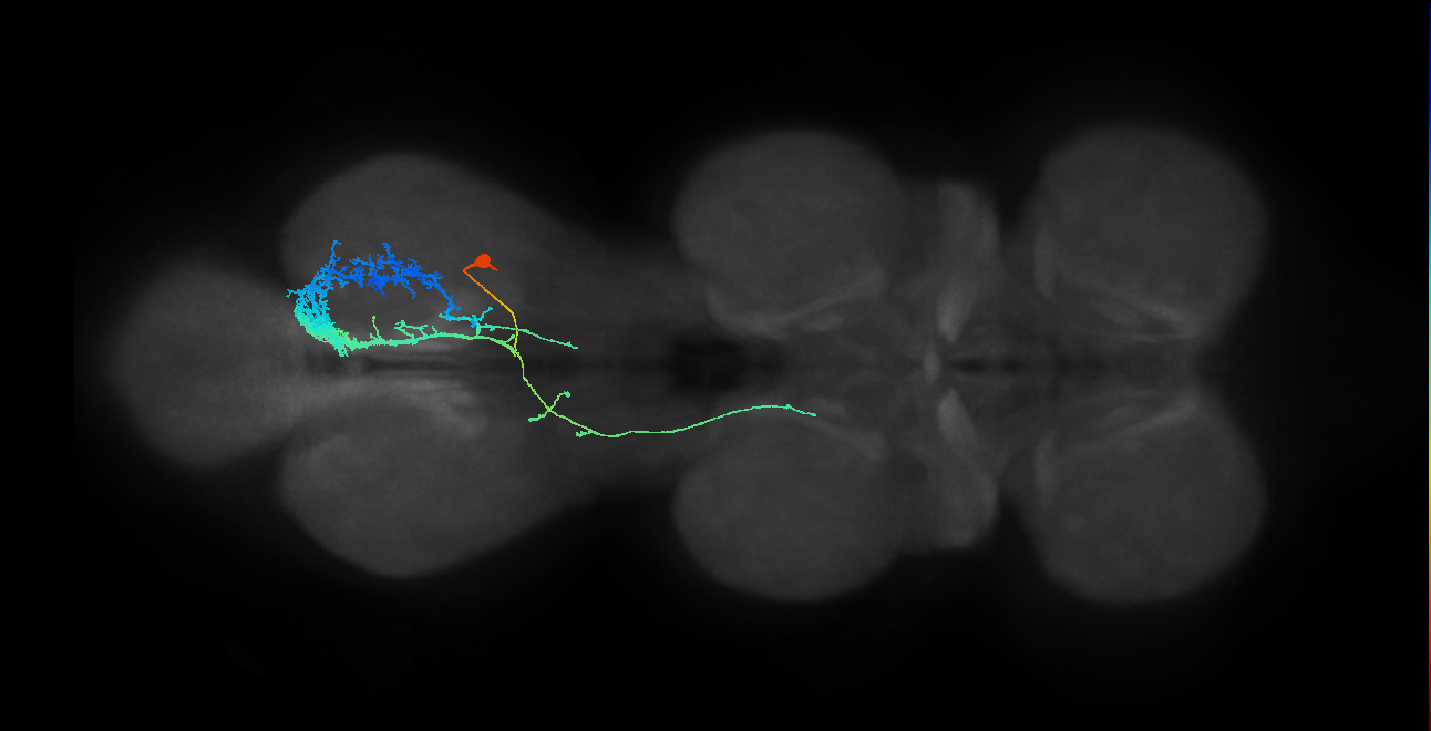 IN23B031