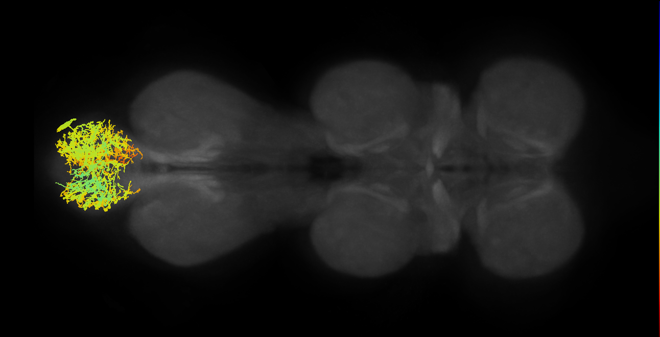 INXXX052