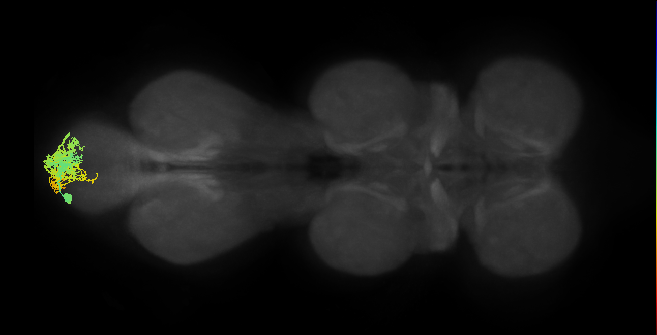 INXXX221_L (MaleCNS:804868)