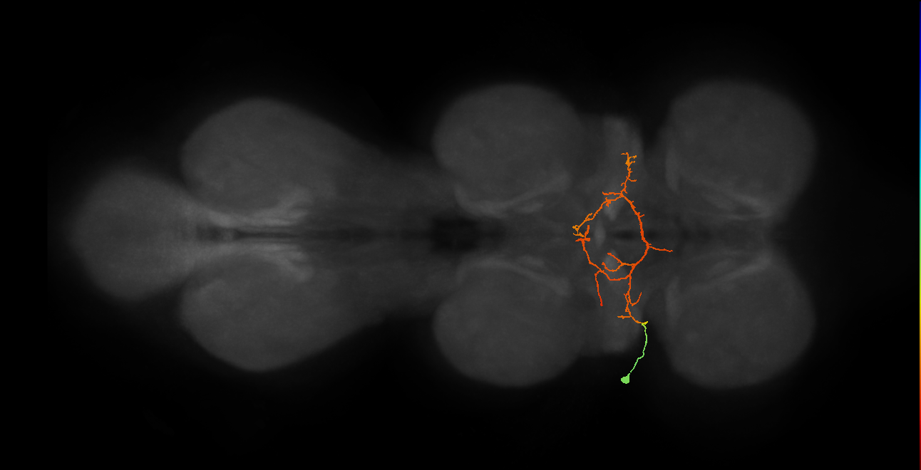 IN03B086