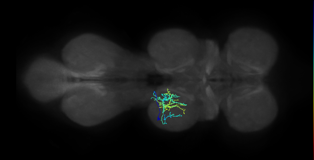 IN04B108