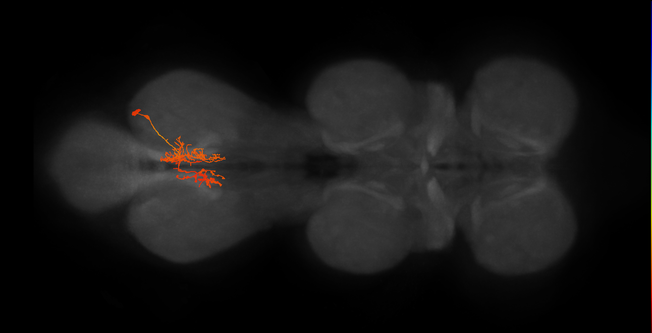 IN06A119
