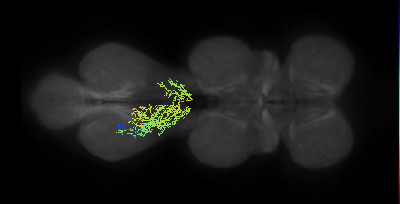 IN07B034