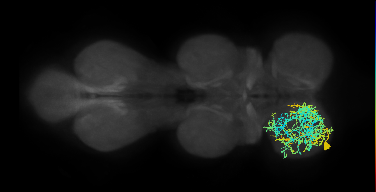 IN09A003
