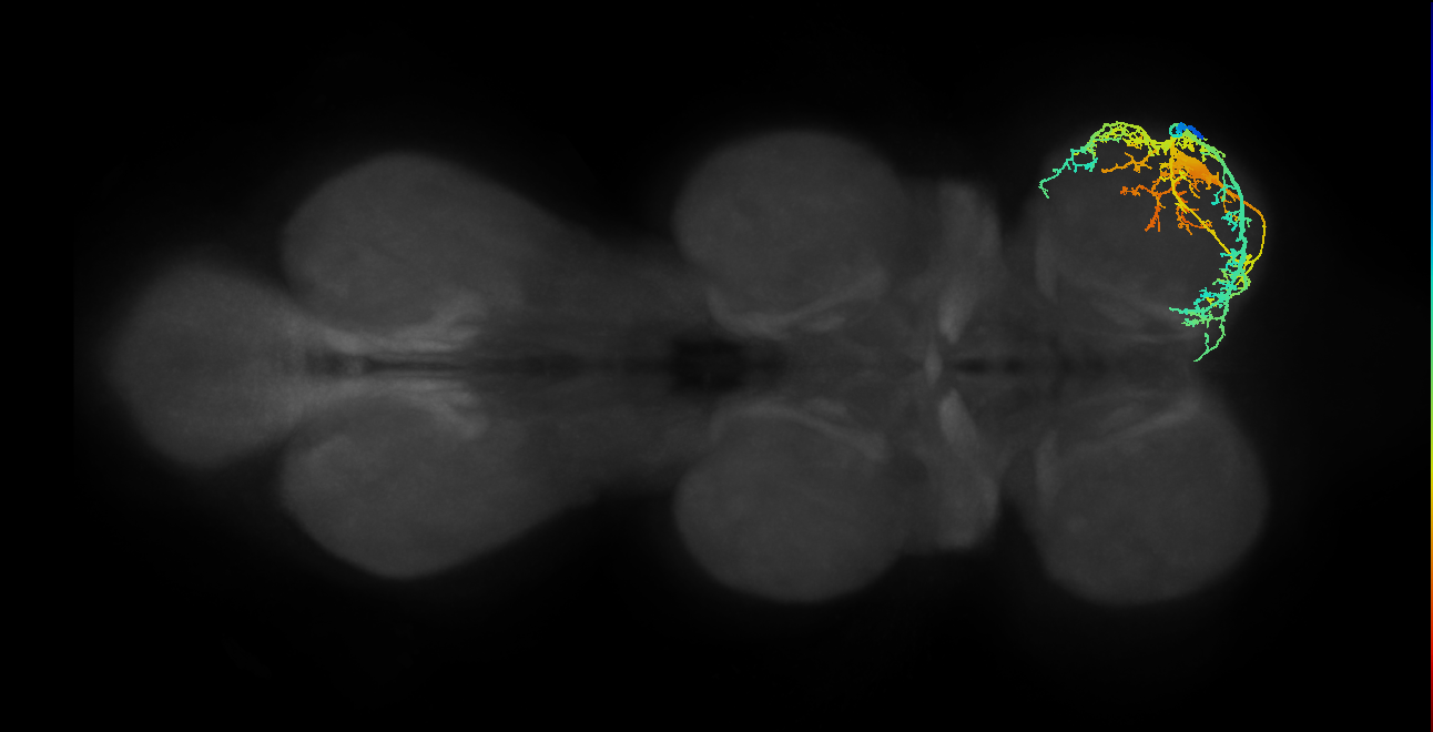 Fe reductor MN_R (MaleCNS:813566)