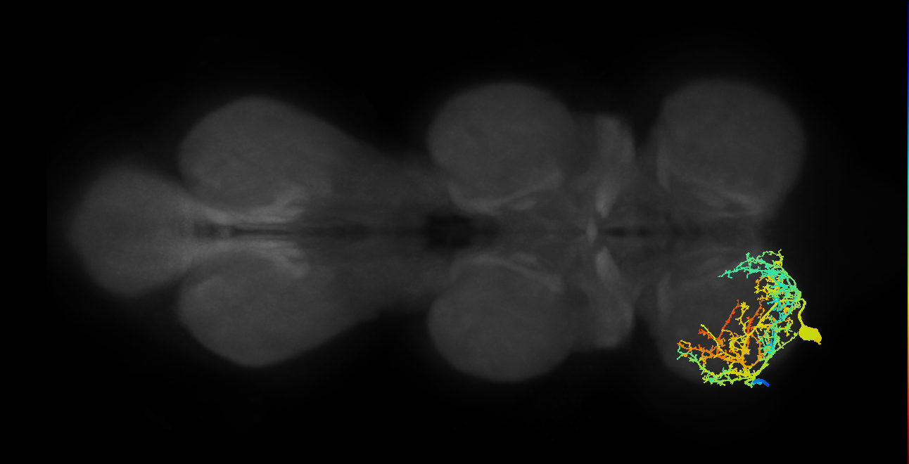 Fe reductor MN_L (MaleCNS:804941)