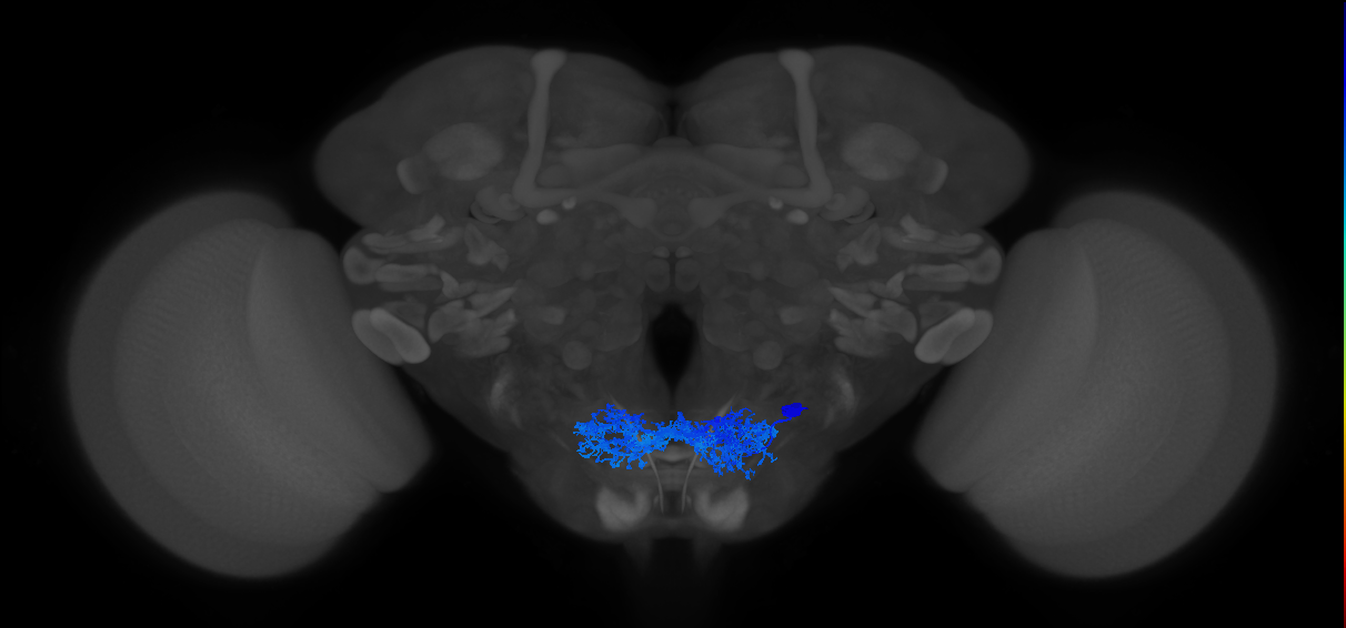 CB0491