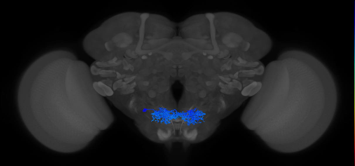 CB0491