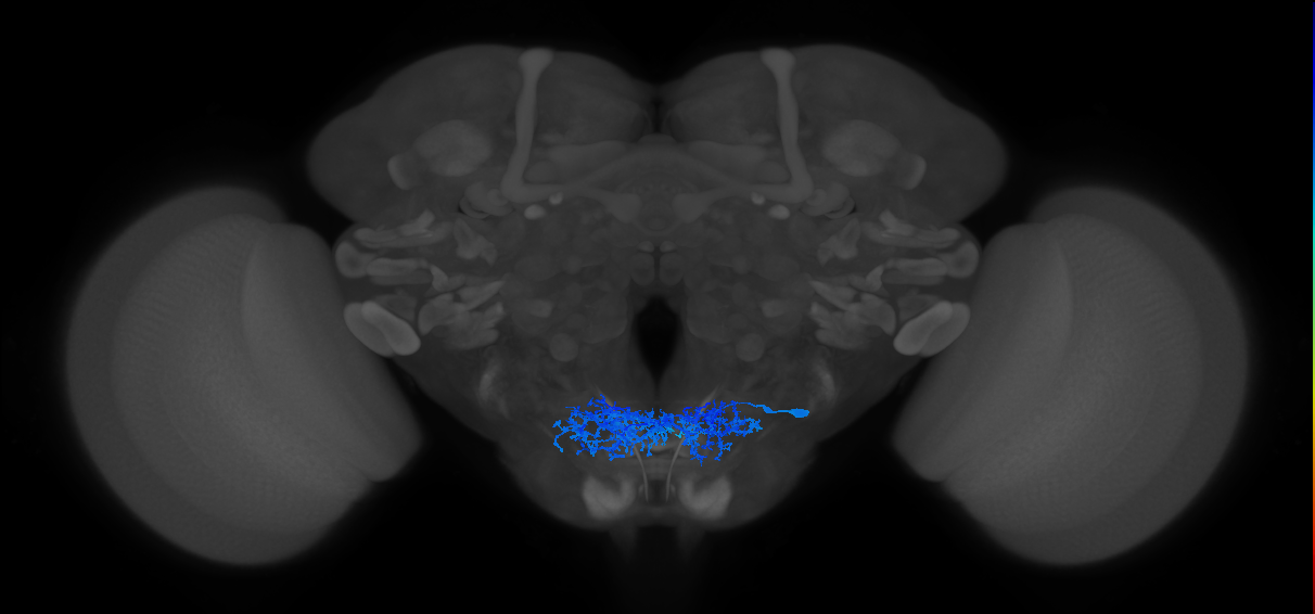 CB0906