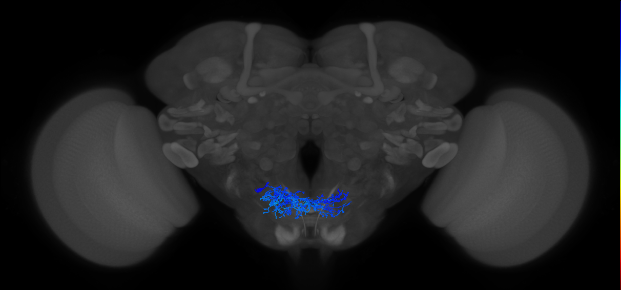 CB0803