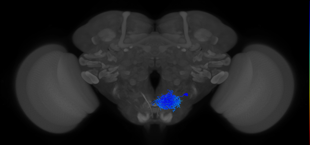 CB0801