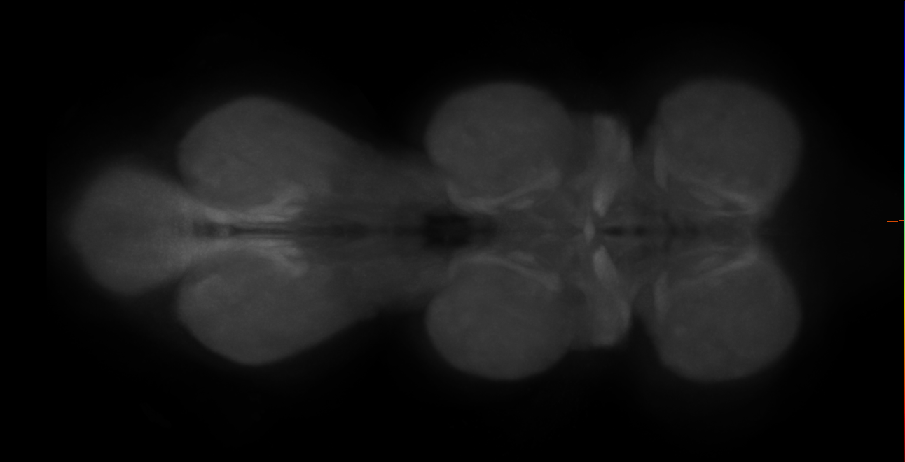 CB0191