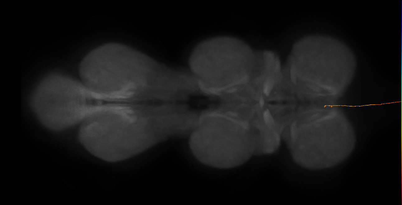 CB0191
