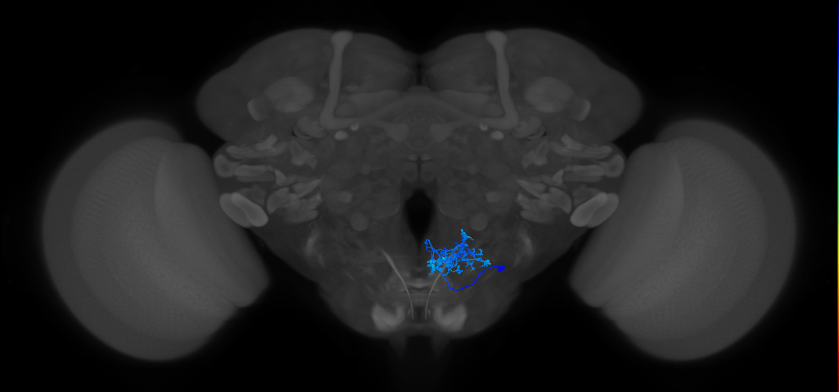 CB2054