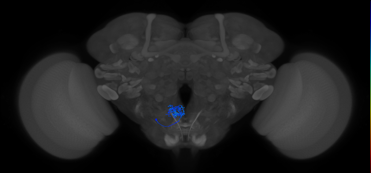 CB2055