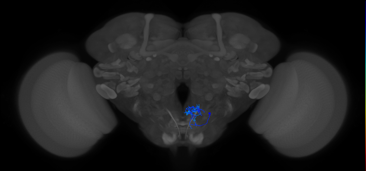 CB2644