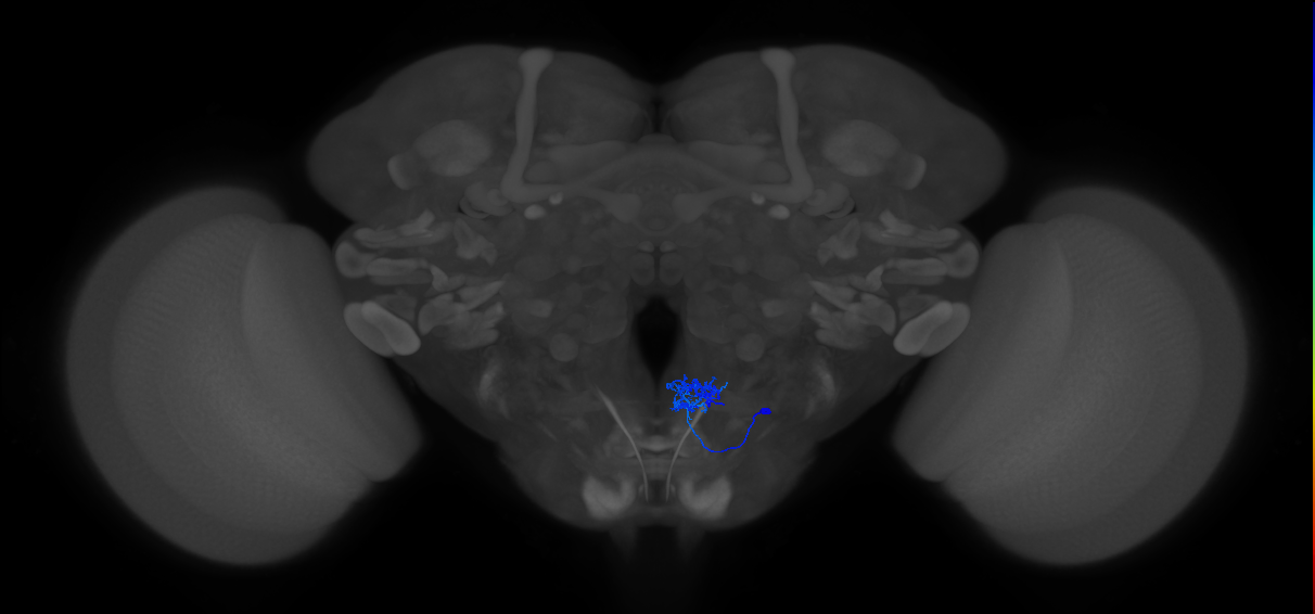 CB2055