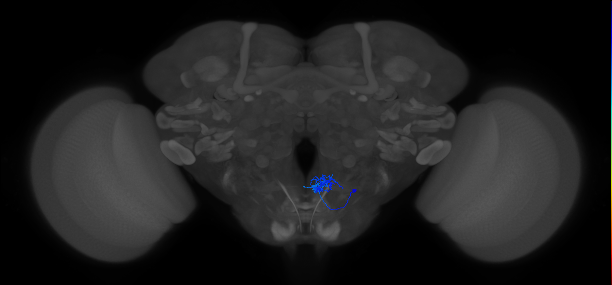 CB2055