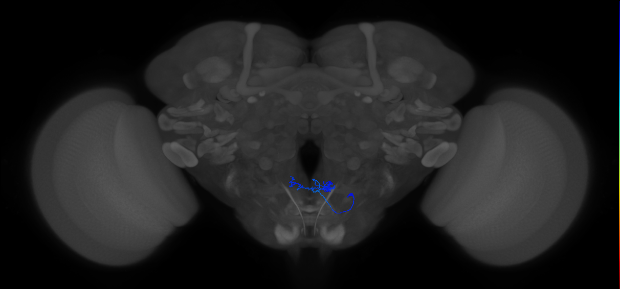 CB2456