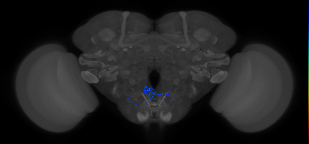 CB2456