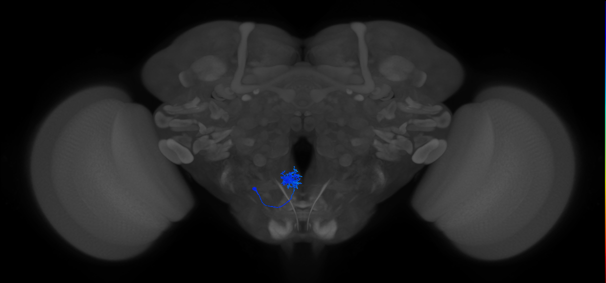 CB2198