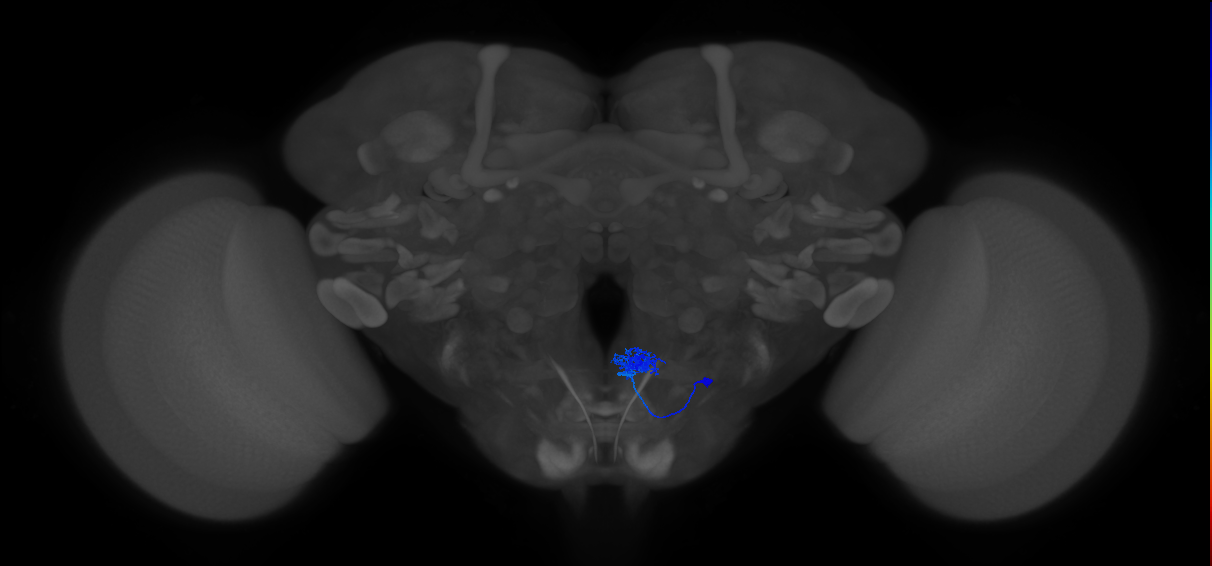 CB2198