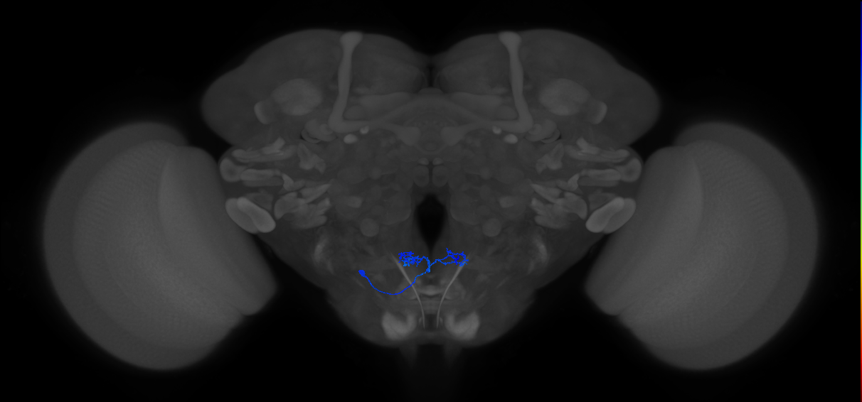 CB2198