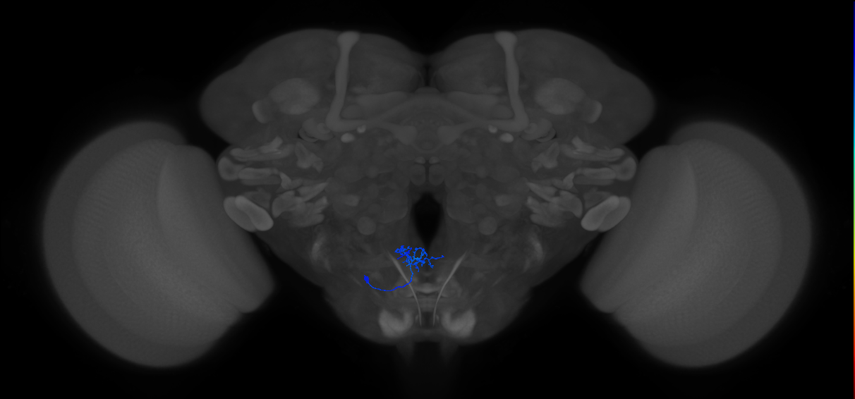 CB2198
