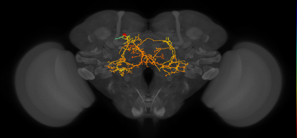 IB038