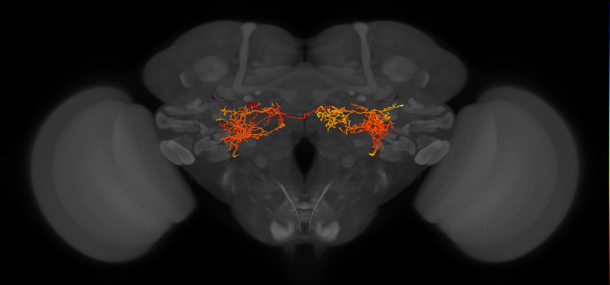 IB118