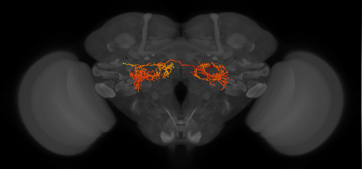 IB118