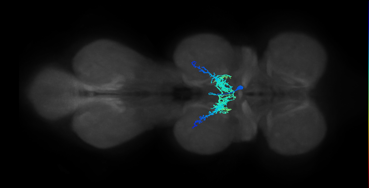 IN00A019