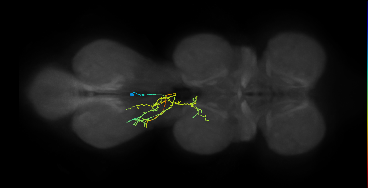 IN02A038