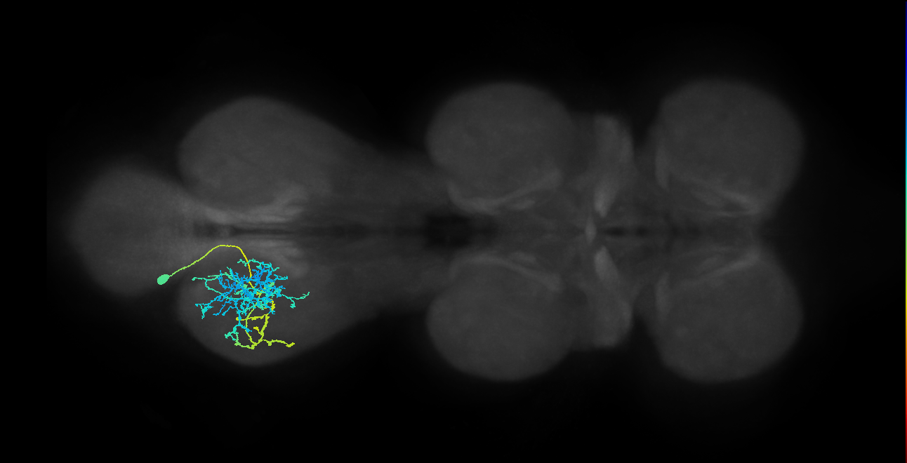 IN03A040