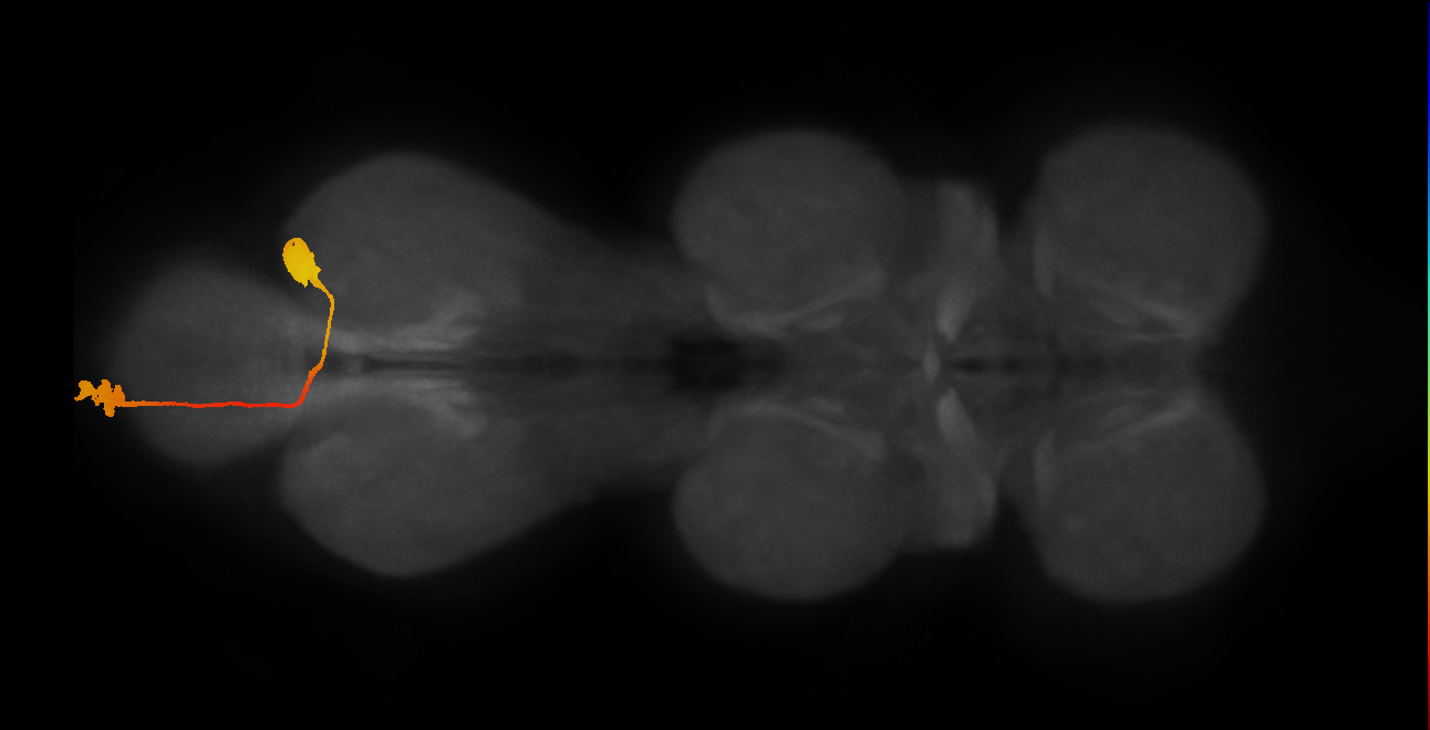 ENXXX012
