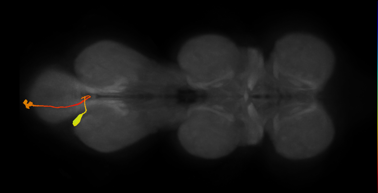 ENXXX012
