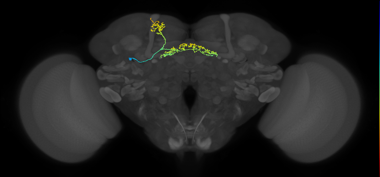 FB6